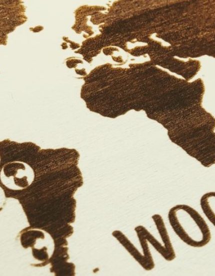 woodenson-1-e1621082016785